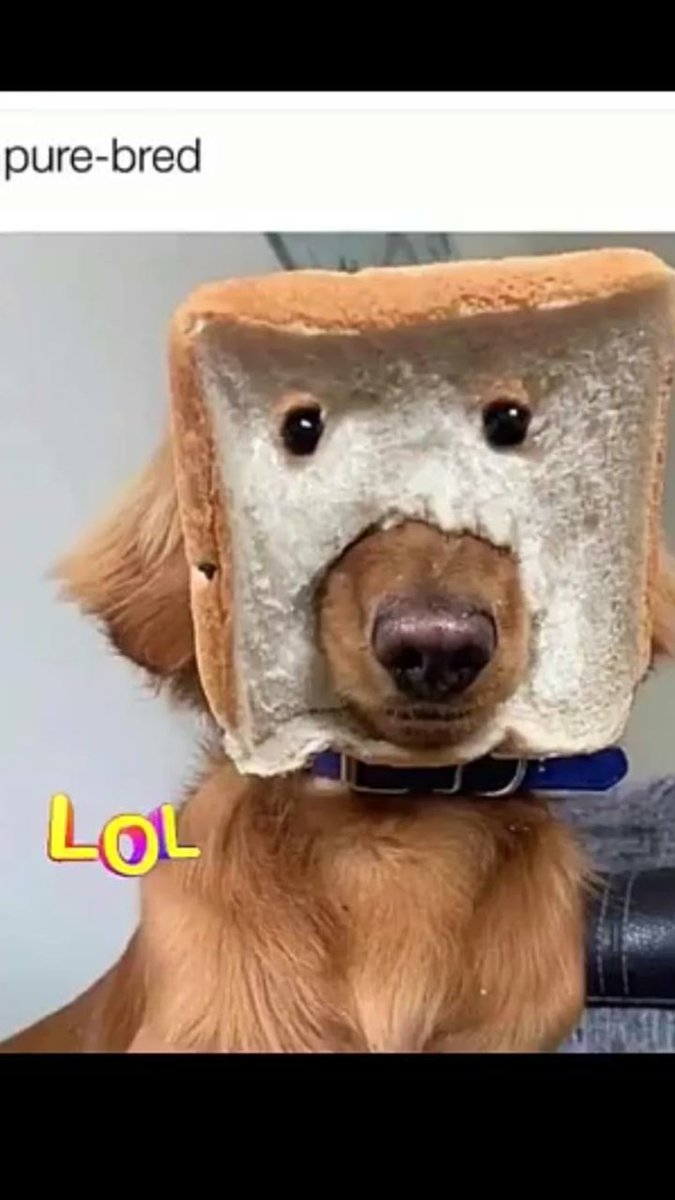 Dean kenna tweet media