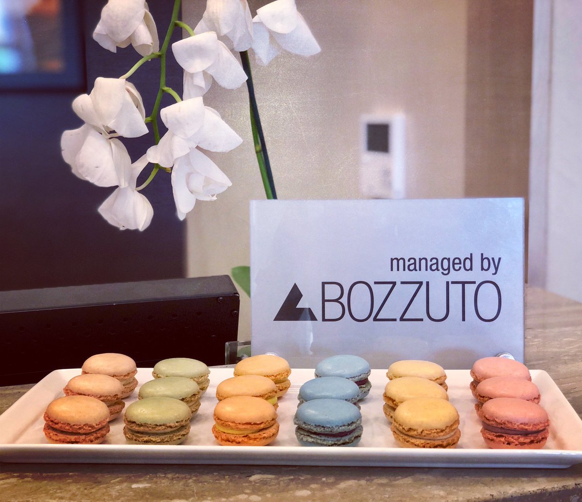 It’s Macaroon Monday! Stop by the concierge desk for a Sweet Monday Surprise! 🍭 #bozzuto #sweetliving #macaroonmonday #pike3400