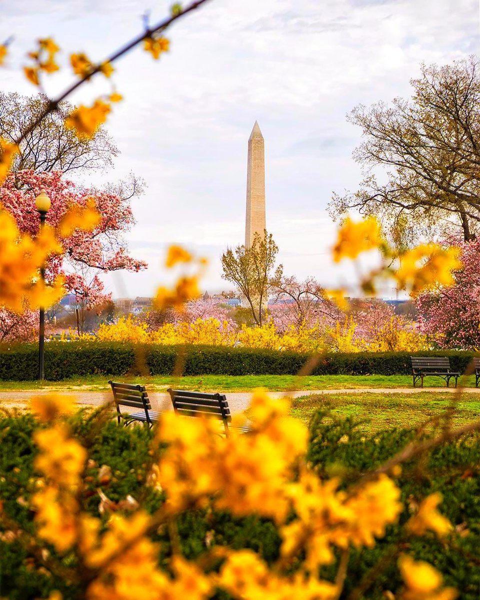 Spring has sprung in D.C. ! 🌼 🌸 #DCDucksTour 
Check out some "must see" attractions while you're in D.C. this spring. 
➡️ bit.ly/2IgES6y

📸 : Anglea Pan