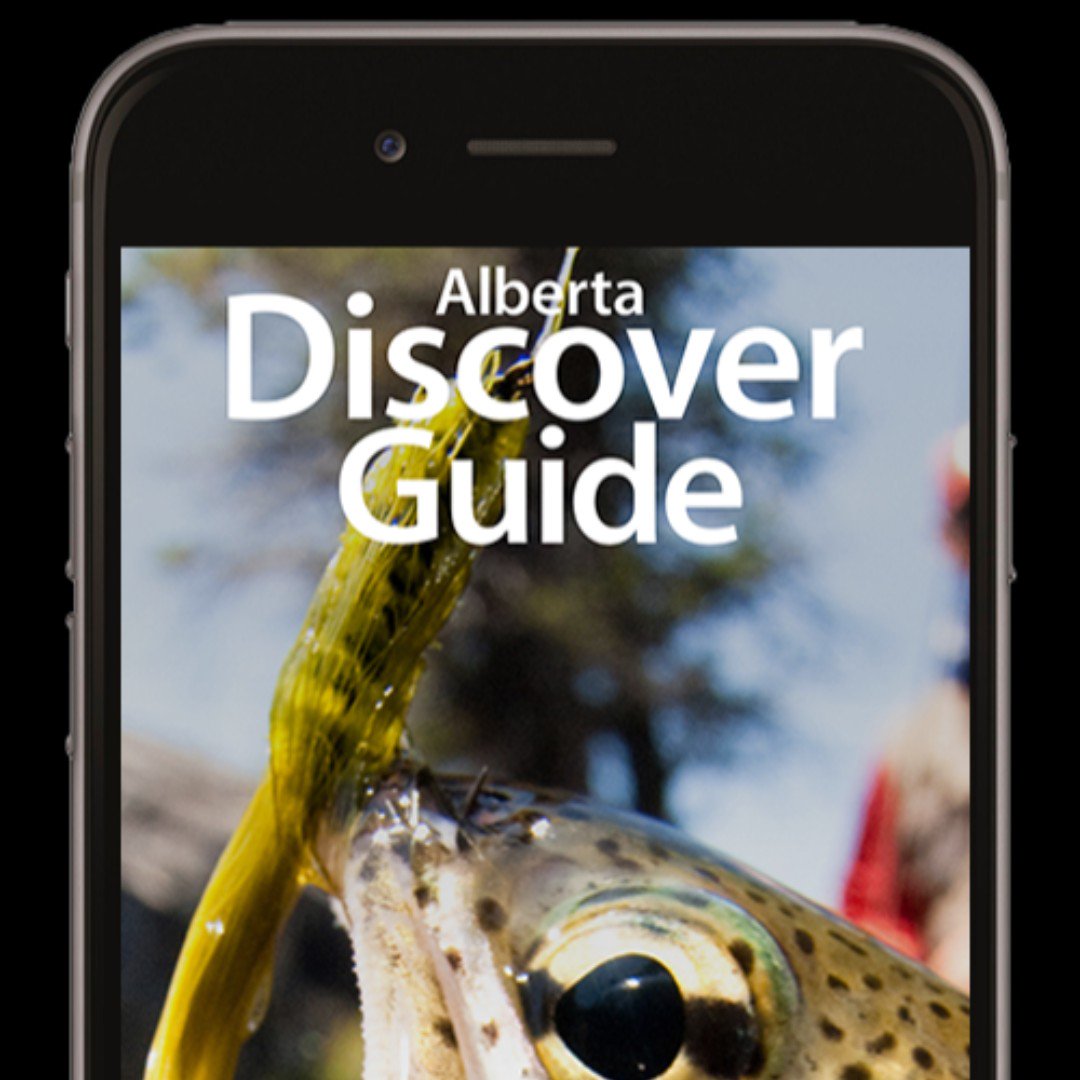 harvestyourown's tweet photo. How to best explore Alberta? Download the free Discover Guide app! It's great for hunters, with info on hundreds of Conservation Sites. Download now! https://t.co/0b2PeDSFss #huntingapp #freeapps #explorealberta https://t.co/5fvFbiUjlH