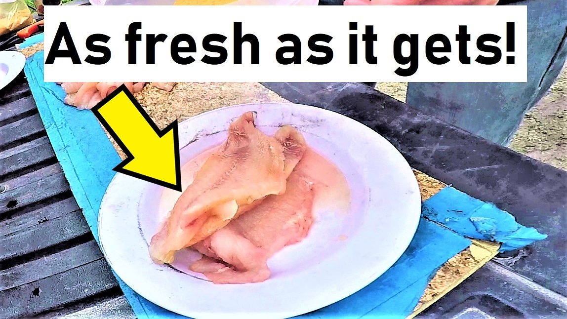 Some #catchandcook action at youtu.be/sChNBu7SZvc . Hope you enjoy the #catfishing and the #cooking