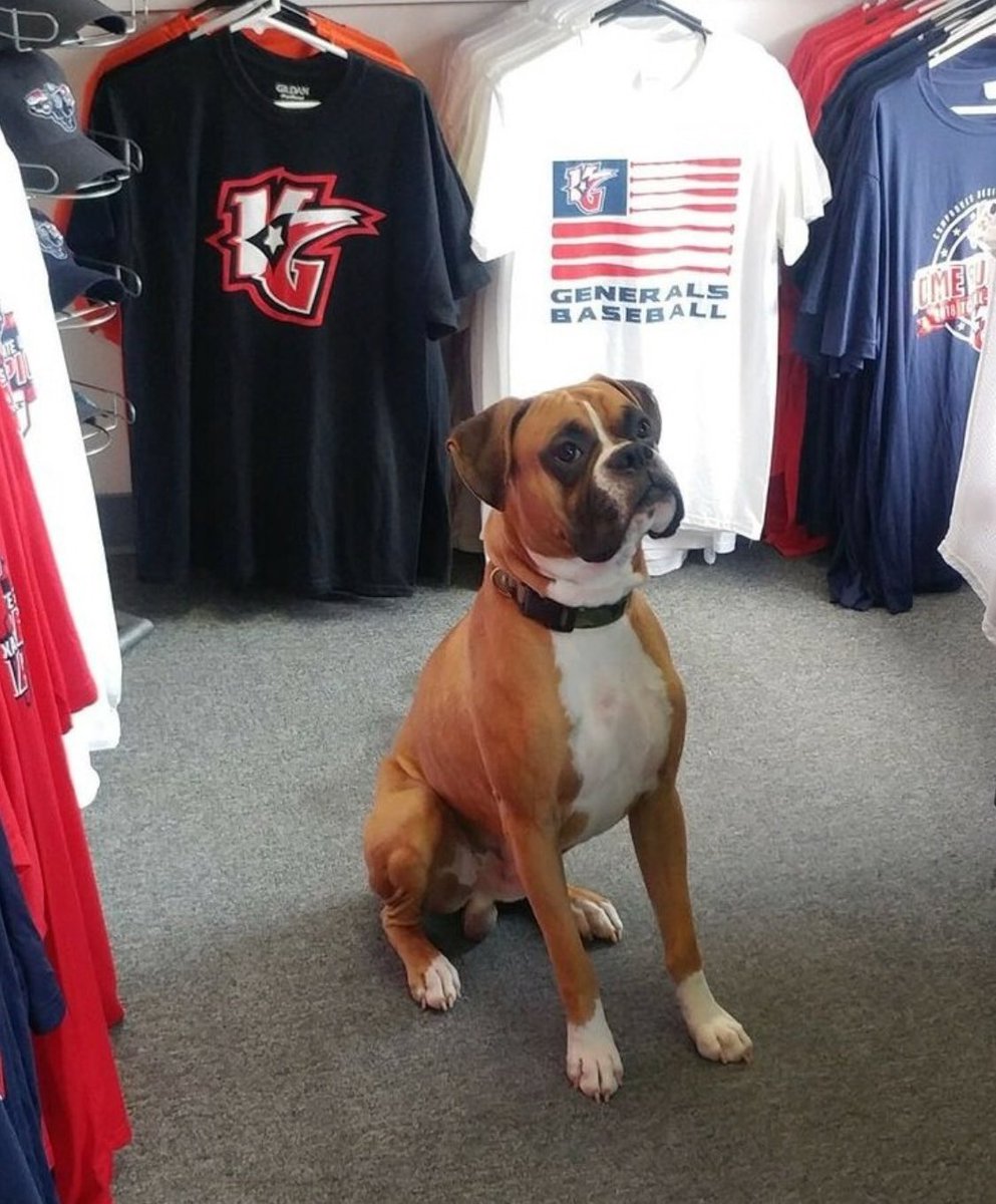 MikeYokum2's tweet photo. Denver from Local Pet is here to remind you Opening Day is 9 days away!!   #deckdog. https://t.co/3W9hgJkmTF
