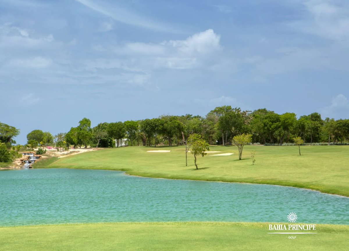 Ocean's 4 Golf tweet media