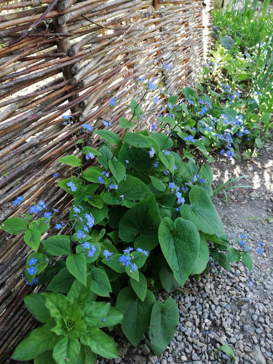 Schwebe verkocht.at/2019/05/20/sch…