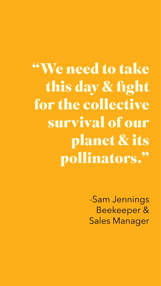 BestBees's tweet photo. What #WorldBeeDay means to us at #BestBees...more at our latest blog post, https://t.co/DSgFaVSxeP #SavetheBees https://t.co/K3W45j3lHQ