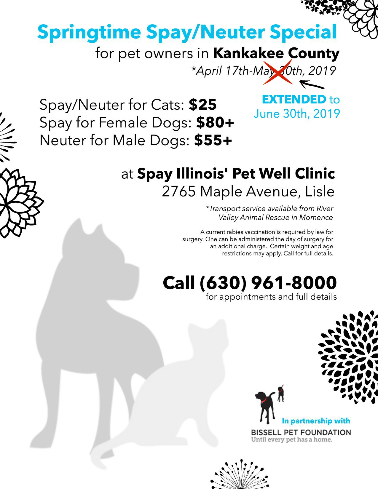 SPAY ILLINOIS