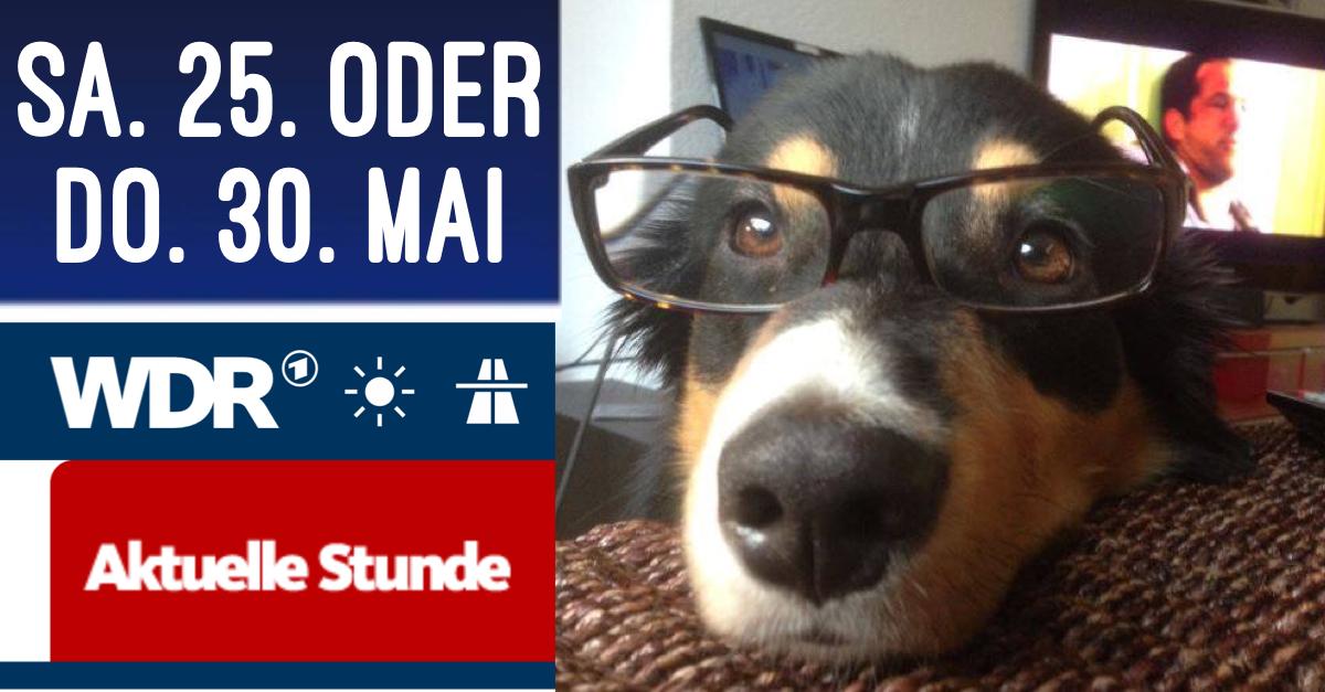 Tour41eV's tweet photo. Stellt euch vor! Der Sendetermin wurde verschoben! Ich gucke erst nächste Woche WDR! 📺Mein TV Tipp:
 👀 (Mein Herrchen) Markus Diegmann auf Tour41 - kurzer Beitrag - im WDR „Aktuelle Stunde“,
 NEUER Sendetermin voraussichtlich Sa, 25. Mai oder Do, 30. Mai je ab 18:45 Uhr https://t.co/0Ihl3pN37Y