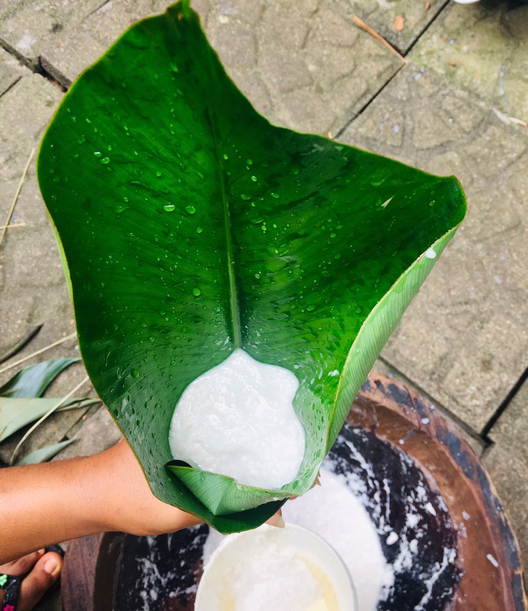 TchopisBae's tweet photo. Le macabo est râpé + un manioc

Le manioc c’est pour éviter que ce soit très mou. Par contre pour un nouveau né, le faire sans manioc.
#TchopIsBae #TchopDownload https://t.co/ubAvyeCzxa