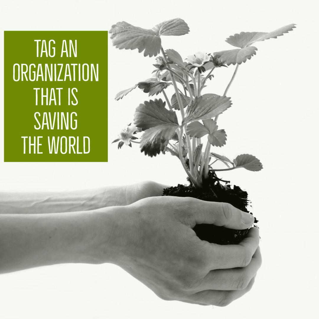 sharegivedo's tweet image. Tag an organization that is saving the environment? 🌎🍃 #SaveThePlanet #GlobalWarmingSolutions