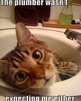 exec_cleanings's tweet image. executivecleaningbydesign.com