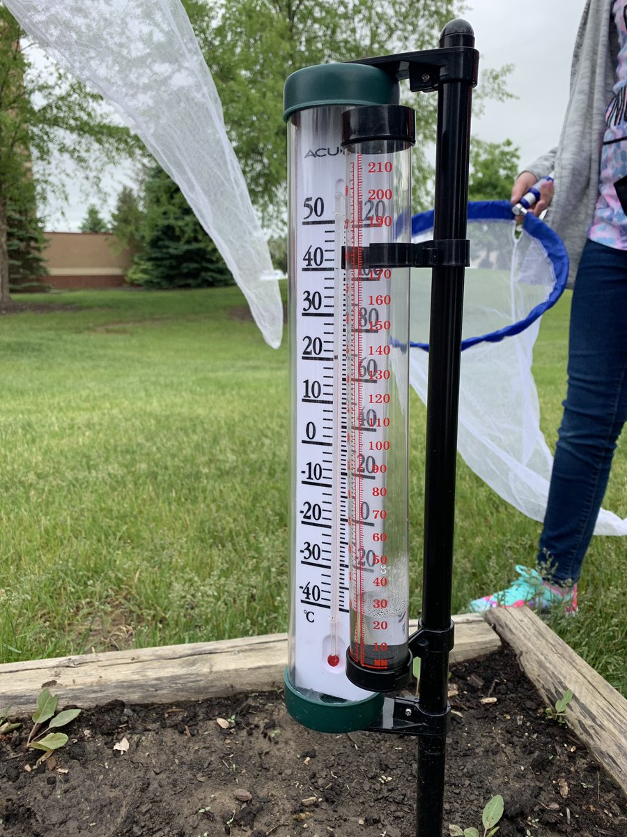 Renick_Class's tweet photo. How much rainfall did we get at TCE this weekend? So excited to use our 4th Grade Math Garden to help us find the answer! #mathgarden #tcemath #mathtalk #tcecardinals https://t.co/PZQrMQ3ivR