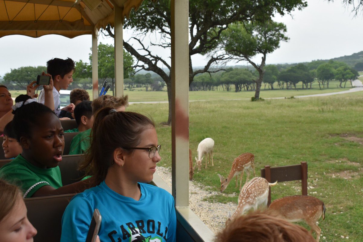 Oh how the kiddos love fossil rim!! 🐃🦓🦒