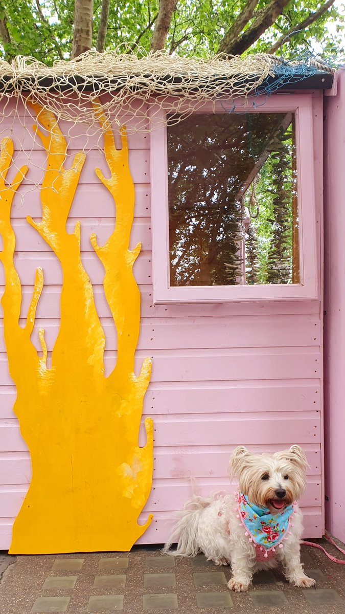 StarlettCrowley's tweet photo. BLOOMING MARVELOUS 🌸
#floral #flowers #fragrance
#chelseainbloom🌸
#chelseainbloom2019
#bloom #blooms #blossom
#london #londoninbloom
#londondog #dogsoflondon
#dogsoflondon #dogsofinstagram #westiesofinstagram
#prettycitylondon
#photography #londonispink
We don't do bland❣ https://t.co/jYx0na8NoU