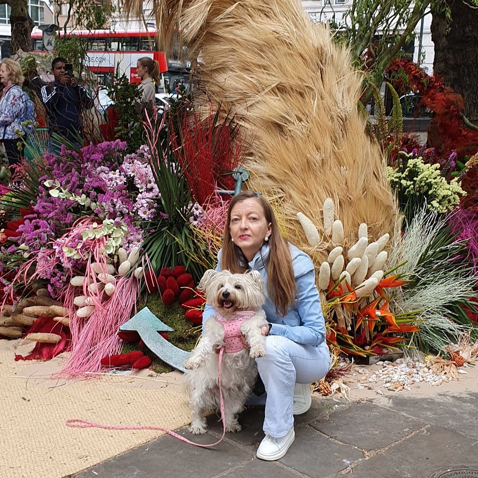 StarlettCrowley's tweet photo. BLOOMING MARVELOUS 🌸
#floral #flowers #fragrance
#chelseainbloom🌸
#chelseainbloom2019
#bloom #blooms #blossom
#london #londoninbloom
#londondog #dogsoflondon
#dogsoflondon #dogsofinstagram #westiesofinstagram
#prettycitylondon
#photography #londonispink
We don't do bland❣ https://t.co/jYx0na8NoU