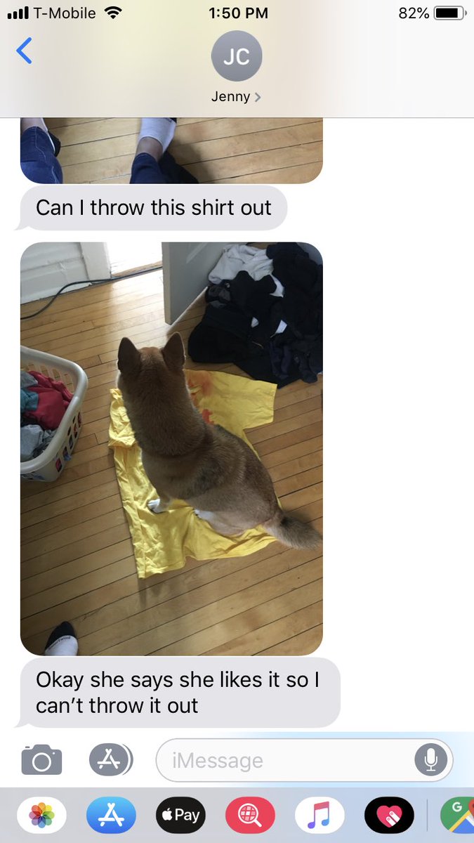 Mushtheband's tweet photo. The perfect doge bed coming soon... #shirt #thankyouweremush #doge #dogebed #marketing https://t.co/GoHY3nTpIo