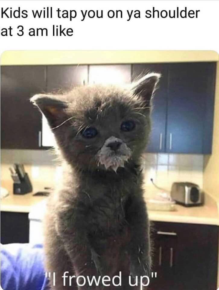 TheGelistah's tweet photo. This has been making me laugh all day. It’s just THAT funny to me. https://t.co/Fx8YOZBPn9