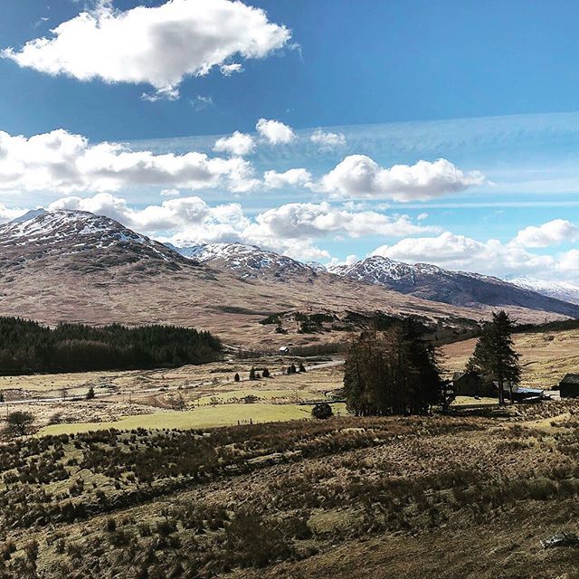 gavspence's tweet photo. After eight years travelling around the world chasing dreams I can’t wait to move back to where it all started. Scotland. YAAAS! #cannaewait https://t.co/Av9XltFN7o https://t.co/8fHOMhtqEl