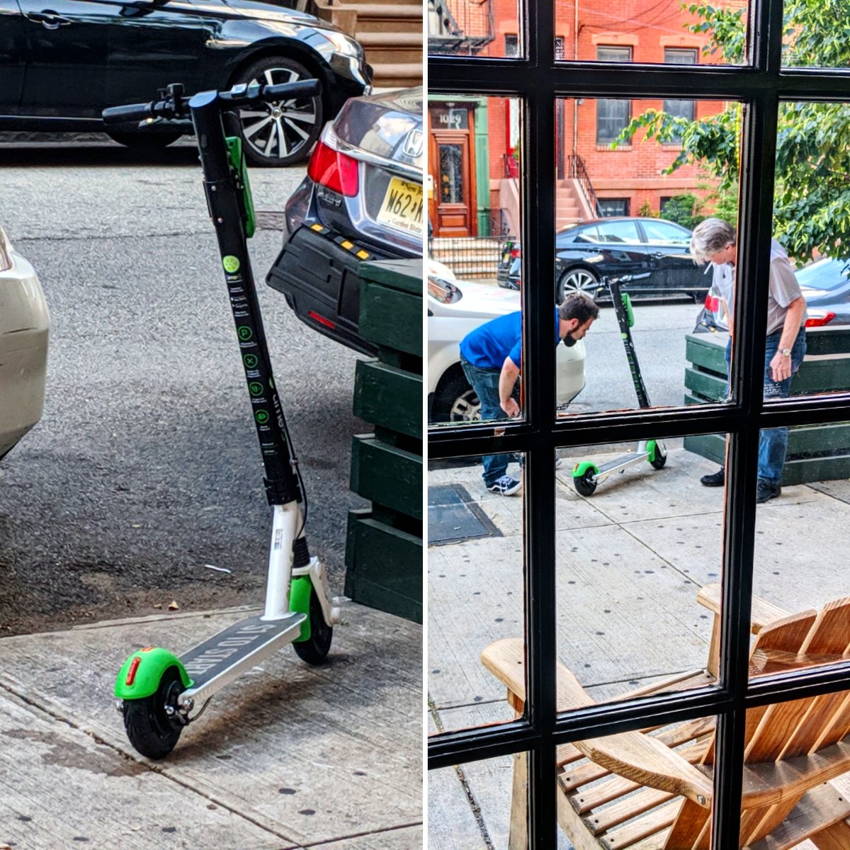 thealehouse1034's tweet photo. The mammals were curious about the strange object that appeared overnight. It did not appear to respond to normal greetings. Eventually they backed away, with a profound sense of doubt, of their own place in the hierarchy.

#Hoboken #Scooters https://t.co/L8Oi57Wy1e