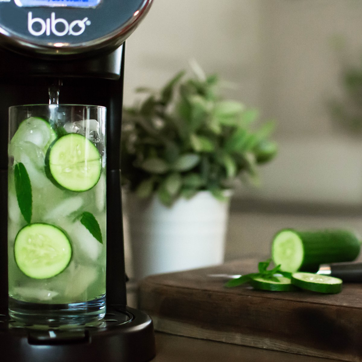Refreshing end to an overheated Monday!🥵Bibo saves the day!🍹Get yours just in time for #MemorialDayWeekend!!! bibobarmaid.com

#mondaymotivation #drinkbibo #bibobarmaid