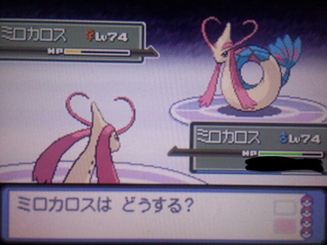 Dゆうまd 在 Twitter 上 ミロカロス同士のバトルです ちなみにレベルも覚えている技も同じですww ポケモン ポケモンプラチナ ポケモン好きさんと繋がりたい T Co Egkjhmpupq Twitter