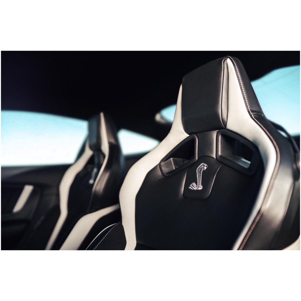 DistDavidFord's tweet photo. A qué velocidad empiezas la semana?🐍🔥
.
Programa un Test Drive en https://t.co/R8Tj47I1mh y siente el poder de un Ford Mustang⚡️
.
.
#distribuidoradavidford #fordpanama #fordmustang #mustang #mustangseats #mustangcar #fordcars #cars #auto #experienciaenevolucion https://t.co/EElRe12LWE