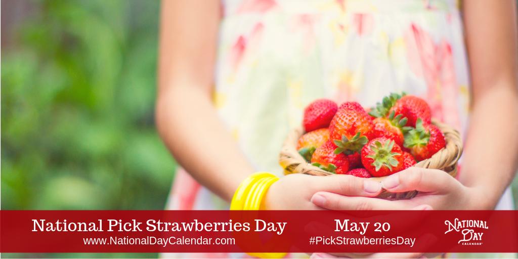 Today is #PickStrawberriesDay! Fun Facts: Strawberries are members of the rose family and Strawberries are the only fruit with their seeds on the outside.

#TheMoreYouKnow #FunHolidays