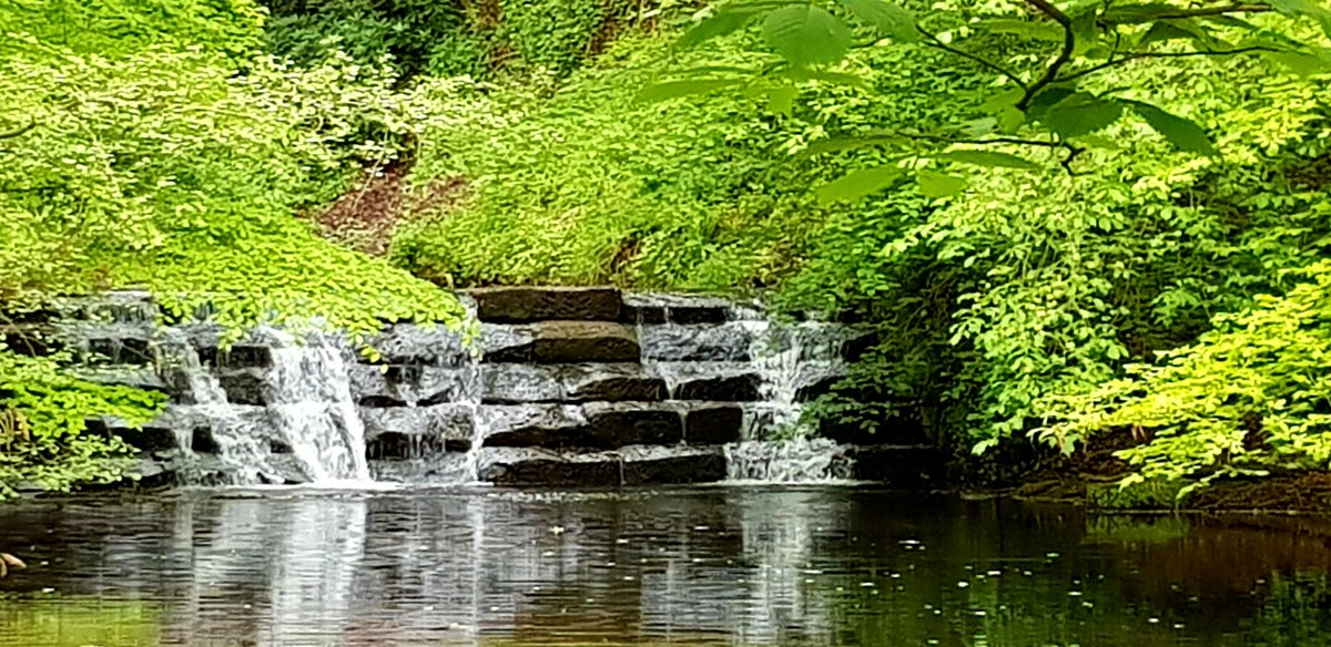 AlisonCallaway's tweet photo. When you just stumble across nature as stunning as this #northeast #Timbleton https://t.co/HgJez1QeAG