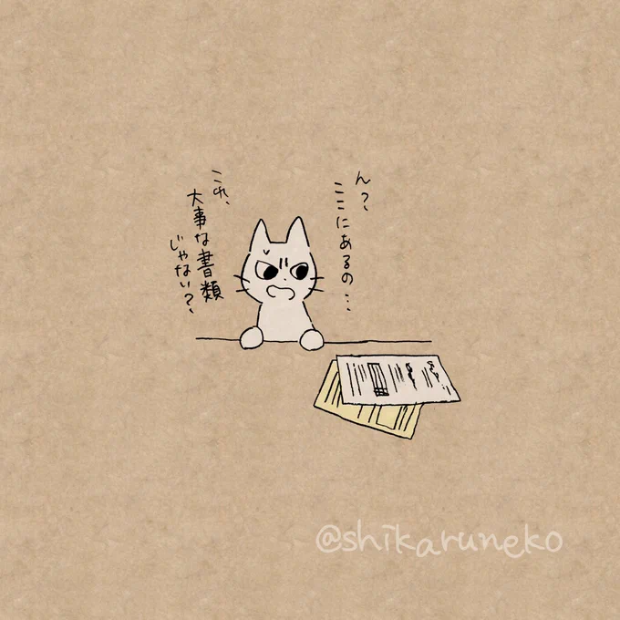 書類を出し忘れる人を叱ってくれる猫 