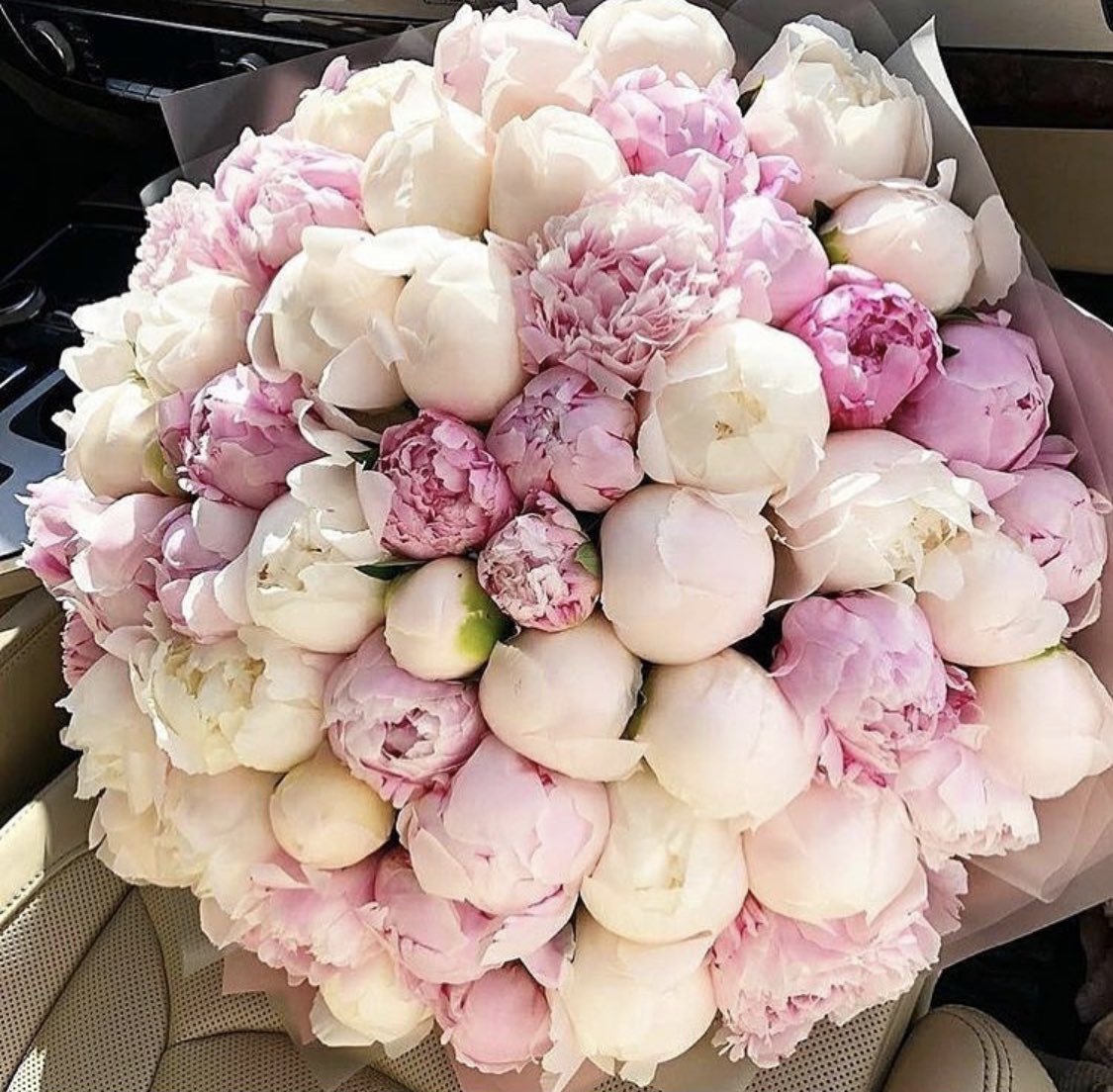 BCHS Floral tweet media