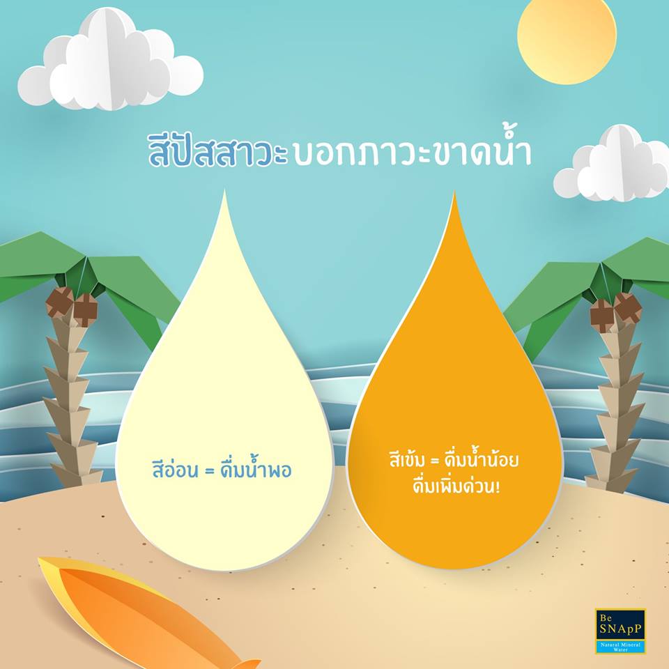 be_snapp's tweet photo. ทุกวันนี้การดื่มน้ำให้พอดีต่อวันคือ 6-8 แก้ว หรือประมาณ 1.2 ลิตร แต่ถ้าจะให้ดีตามหลักการแพทย์ ควรดื่มให้ได้ 2 ลิตรต่อวัน 

เชื่อว่าหลายคนสงสัย วันนี้ดื่มได้เพียงพอมั้ยนะ? งั้นตามมาสำรวจอาการในโพสต์นี้เลยครับ
#เป๊กผลิตโชค
#PeckPalitchoke
#BeSNApP
#BeSNApPmineralwater https://t.co/GPCFh9SYNW