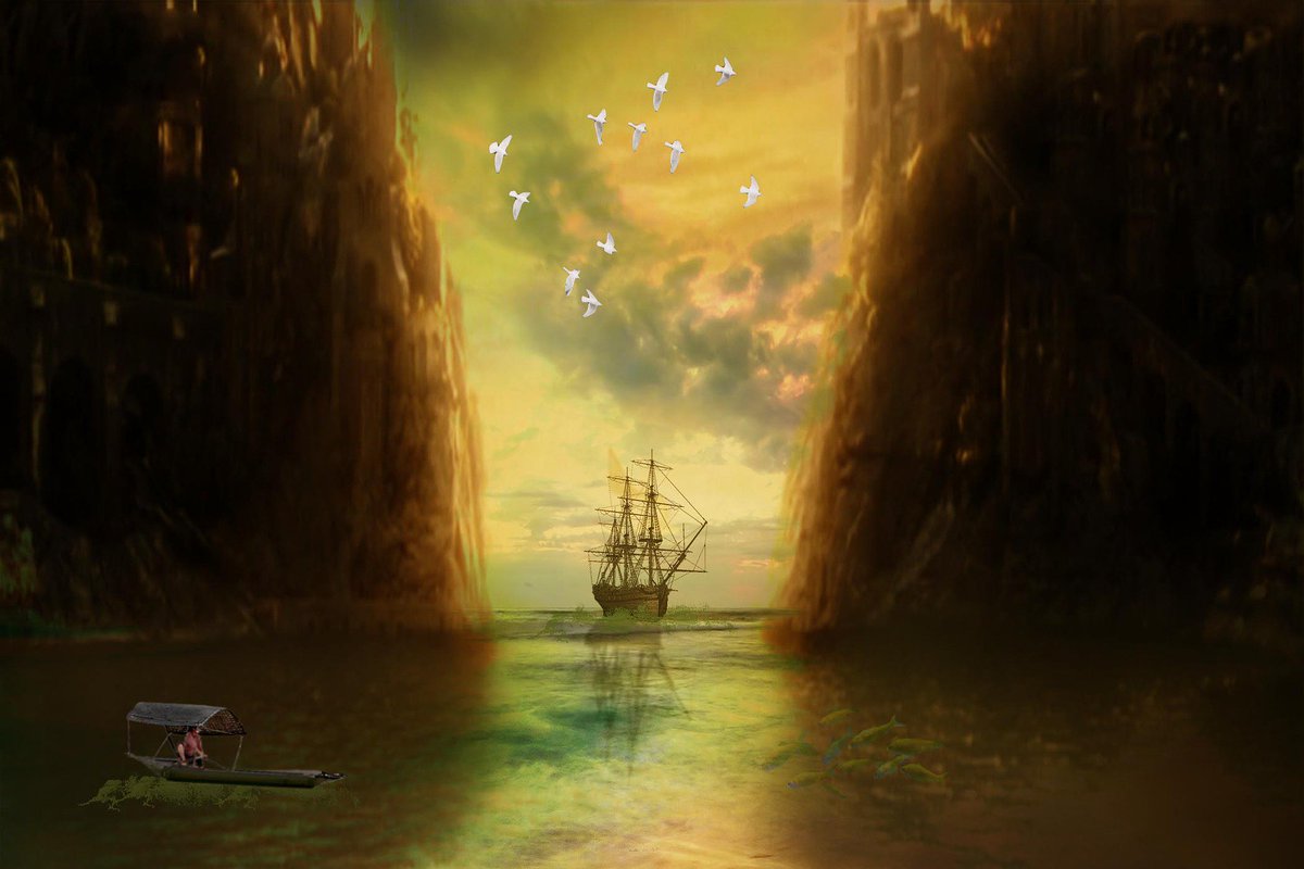 Bungee Spongee tweet media