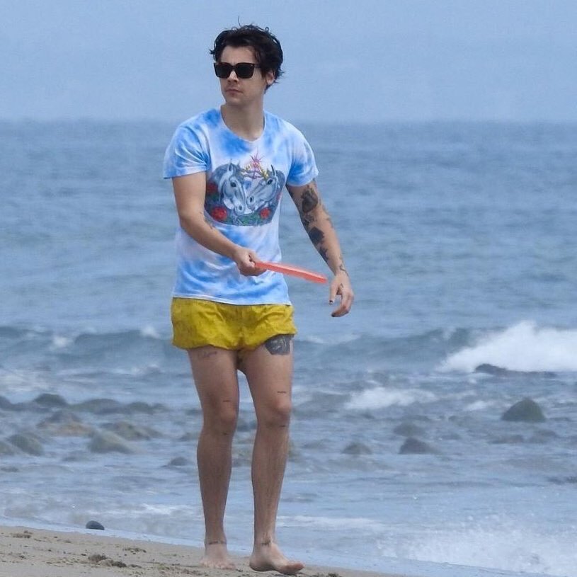 Que maravilhosas essas fotos do Harry na praia!!