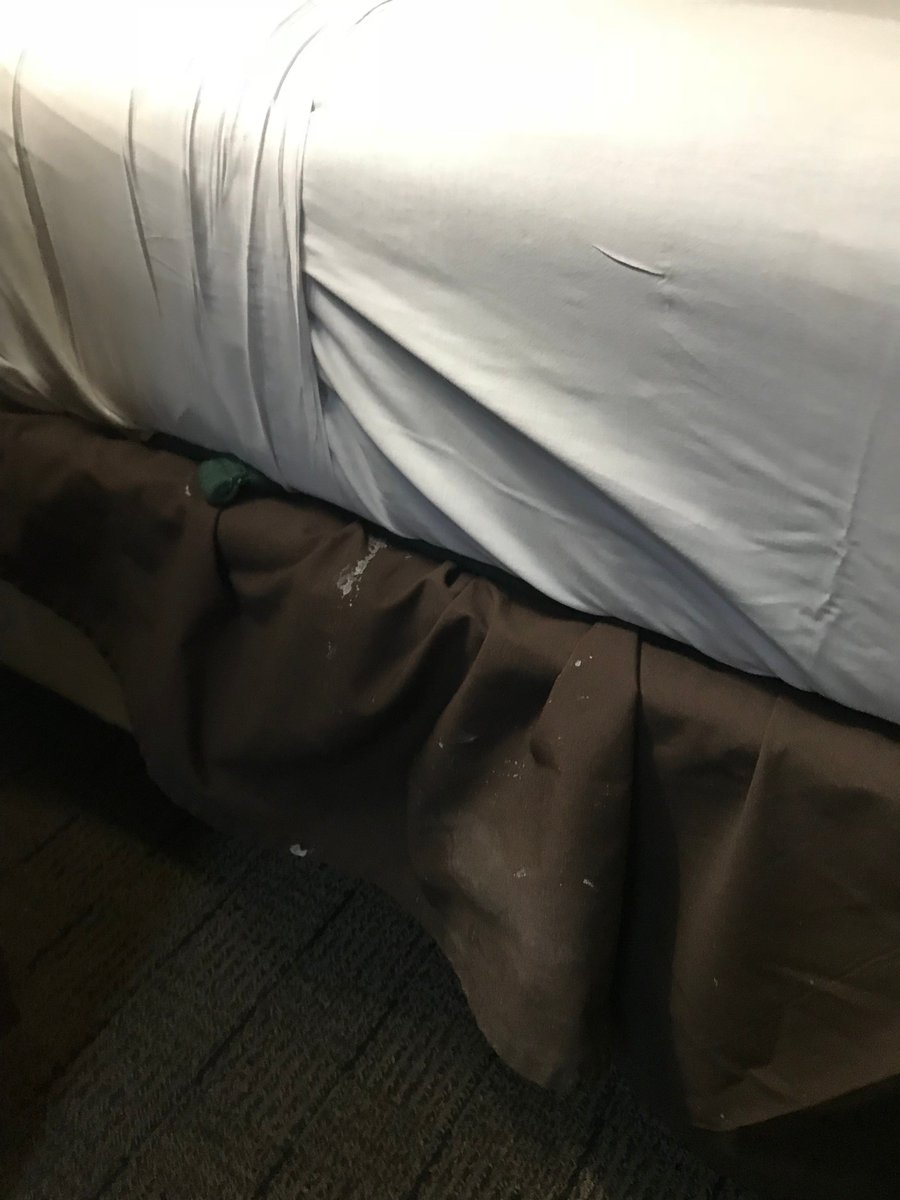 murphicus's tweet photo. @hotelsdotcom your rep was AMAZING at getting my rooms canceled (pre-paid) b/c they were DISGUSTING (see pics) - but now i'm stuck paying almost DOUBLE for last-minute rooms for my group. any help for a longtime (fmrly gold) member? https://t.co/TkVwiOz2Y5