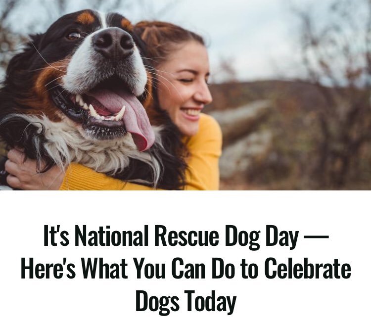 CurtisSChin's tweet photo. #NationalRescueDogDay 2019: How to Honor #Dogs Today (& every day). #tailsthatteach
https://t.co/szWouAbJkv @TailsThat
(& hello from LeeLee, our #rescuedog) https://t.co/TJHvYbOU1o