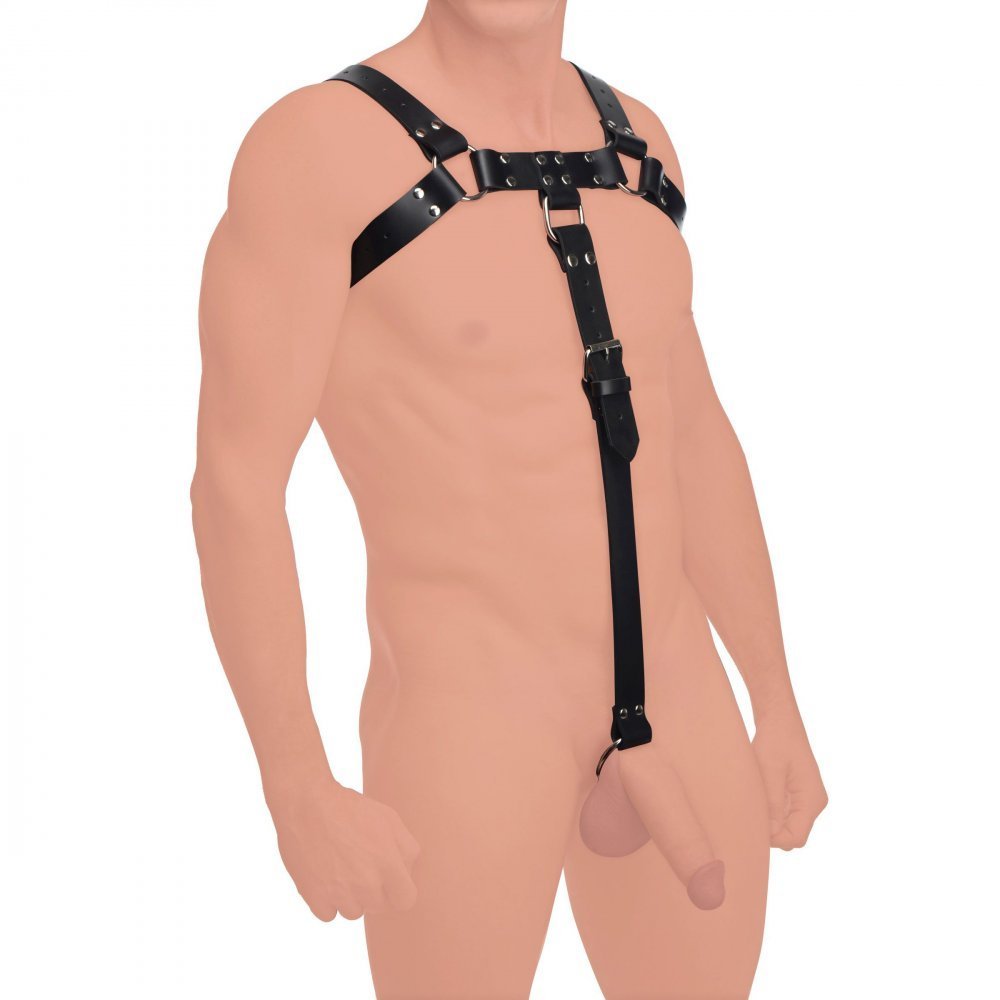 PeggingPatty's tweet photo. English Bull Dog Harness with Cock Strap https://t.co/Ypf05esfjc https://t.co/3bclHOPdpW