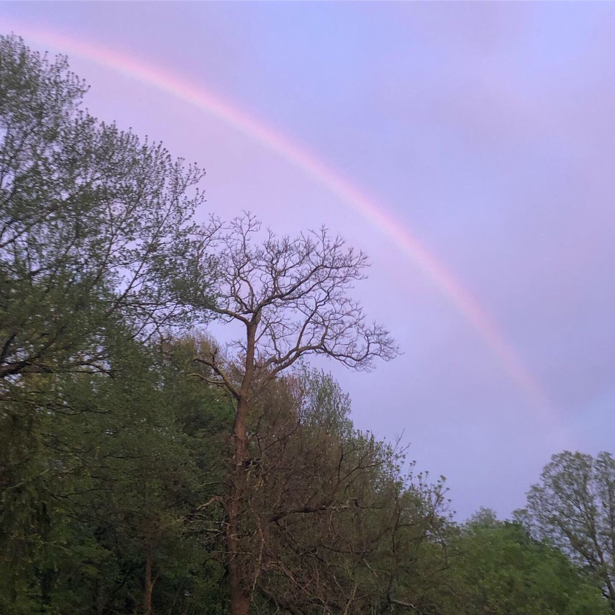 digitaldelaney's tweet photo. Not a bad night for a walk in the burbs #rainbow🌈 #sunset #afterthestorm https://t.co/OAqHyMm7th
