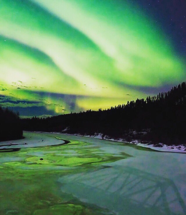 sorted_life's tweet photo. Have you ever see the northern lights? Northern BC is a great place . We plan unique excursions.🥰#sortedlife #travel #personalconciergeservices #destinationbc #fortnelson #northernlights #auroraboreal ✈️  Kourtni Martina's image (northkourt on Instagram): https://t.co/MHHpeUqaGE https://t.co/jxcFD7HPjs