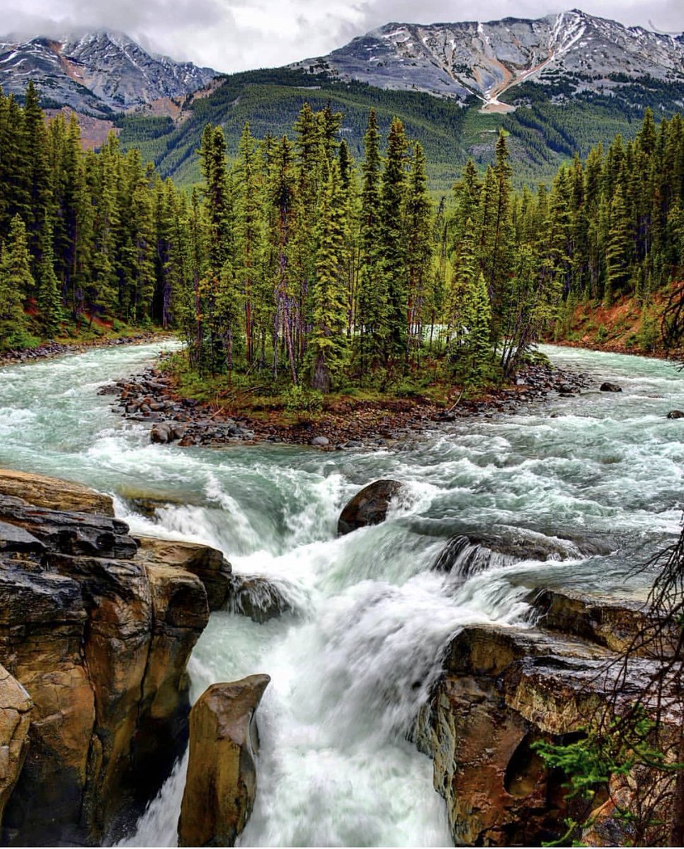 The rushing waters of Sunwapta Falls in Jasper Alberta