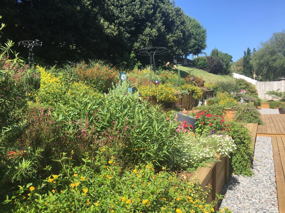 Darren Midlane tweet media