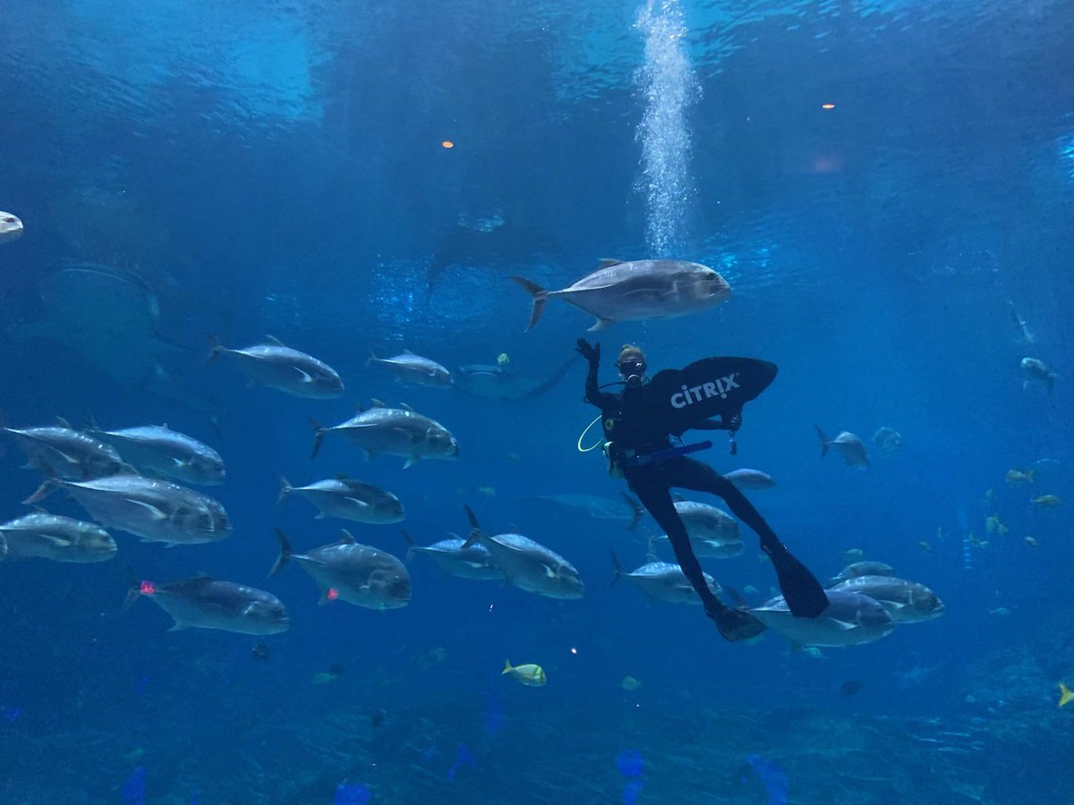 MeghanMBiro's tweet image. #CitrixSynergy #CitrixIsHow