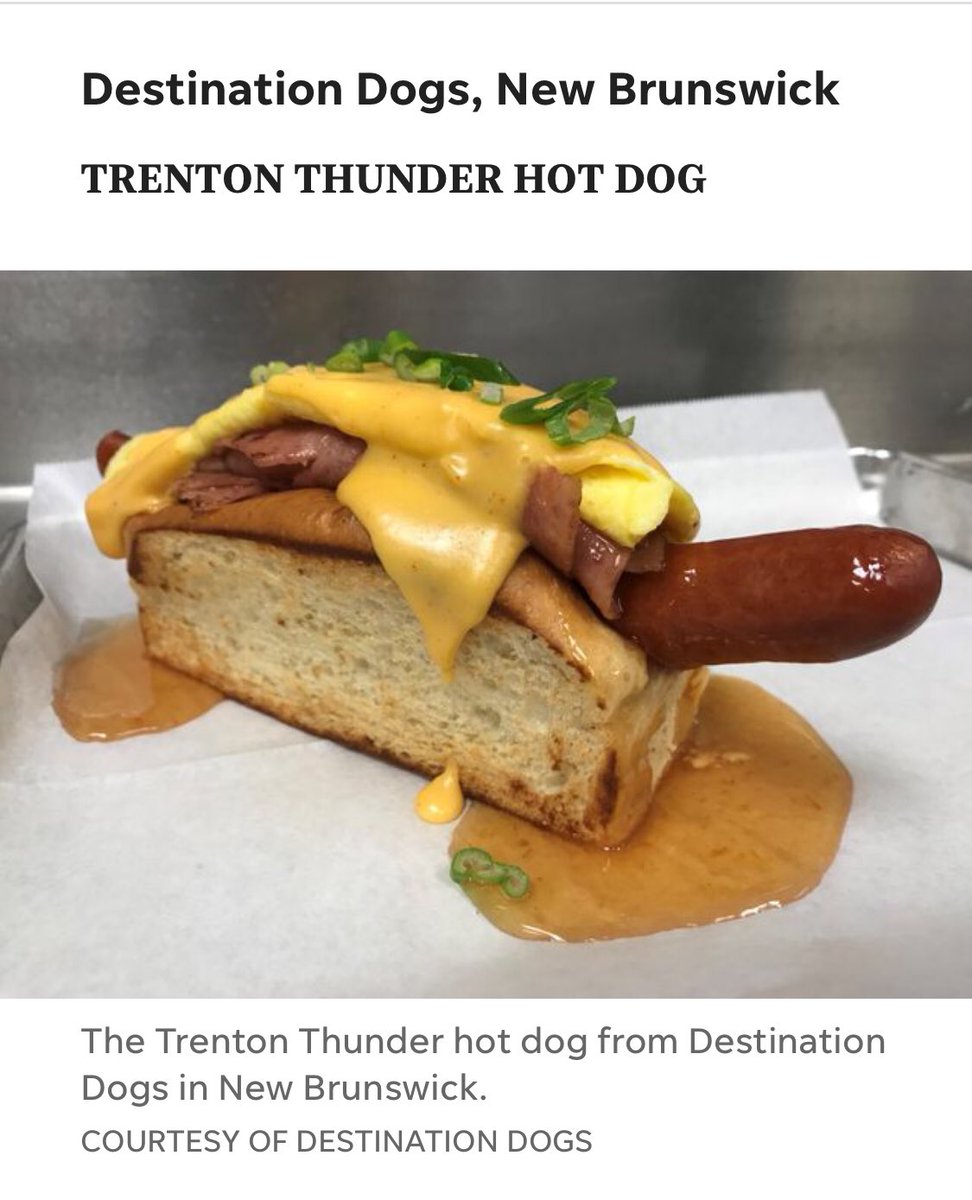 Destination Dogs tweet media