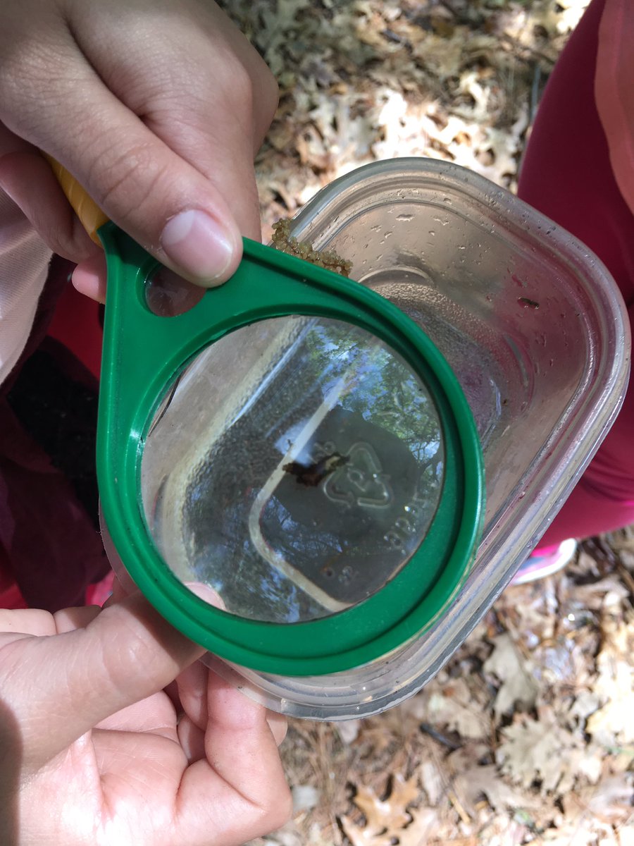 Jen White tweet media