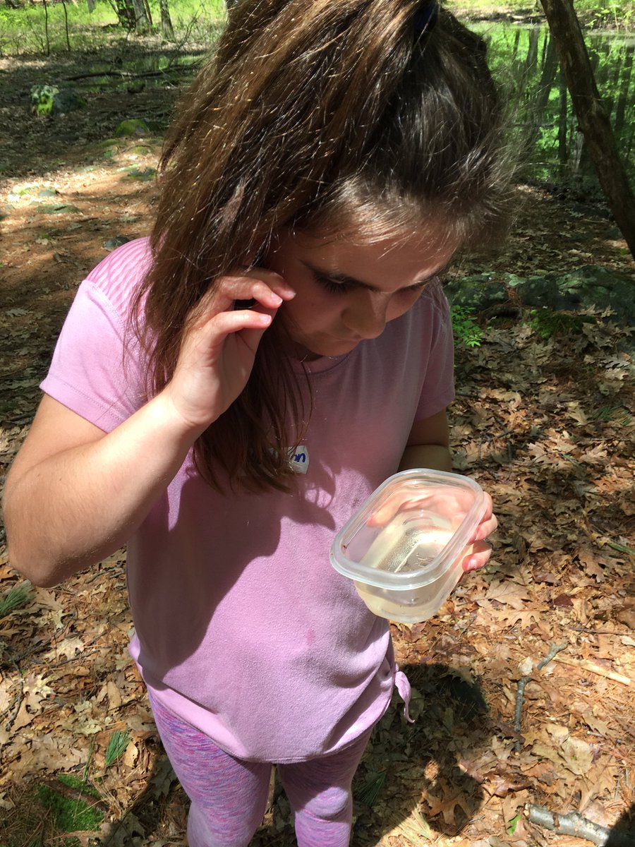 Jen White tweet media