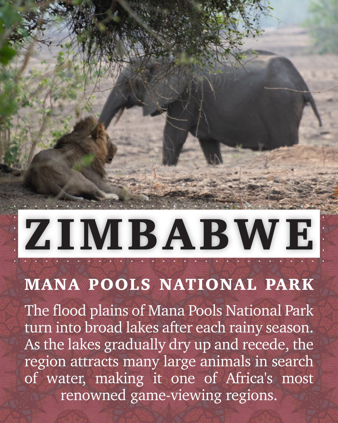 Imanoafrica Imanoafrica Twitter