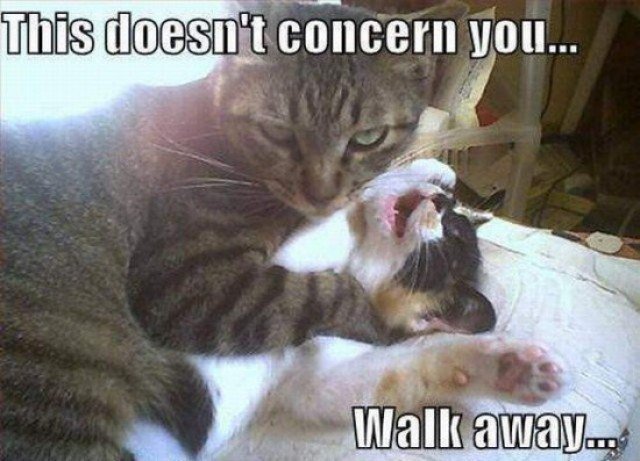 Billy Ray Bryant (@billyraybryant) on Twitter photo 2019-05-21 01:07:27 @txtiger1 @laura_jones1987 @derekadams1042 @randy_o1970 @truthbypoppies @hboulware Dont mind me maam. 😁 @txtiger1 @laura_jones1987 @derekadams1042 @randy_o1970 @truthbypoppies @hboulware Dont mind me maam. 😁
