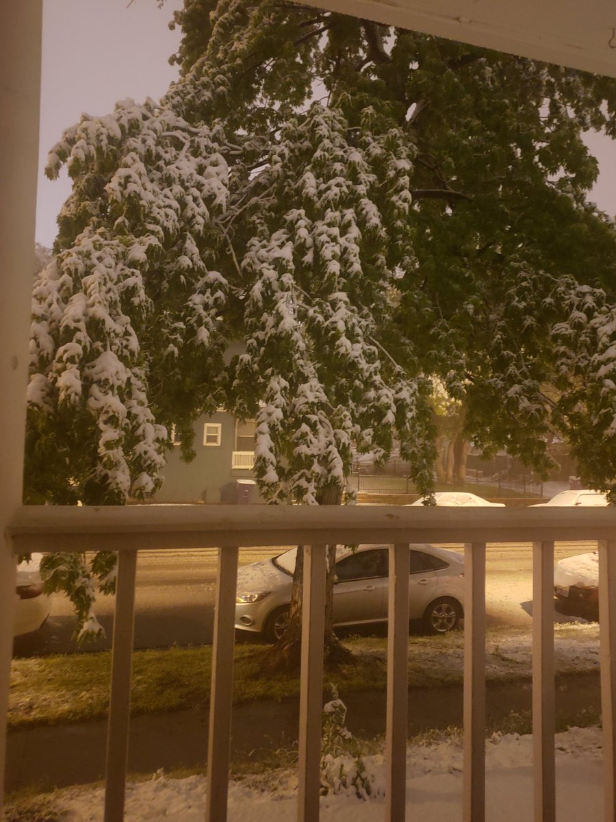 This is payback to everyone who bitched about the last season of #gameofthrones. #winterisstillcoming #saveusjohnsnow