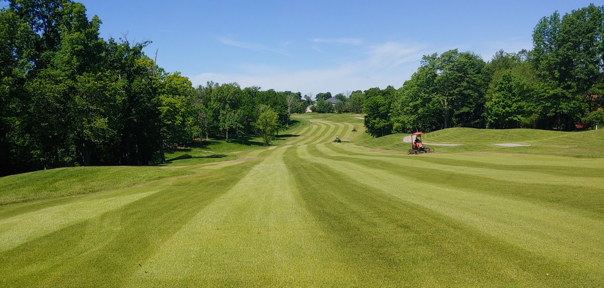 WhitmoorCCGrounds tweet media