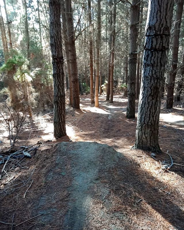 Haka Tours tweet media