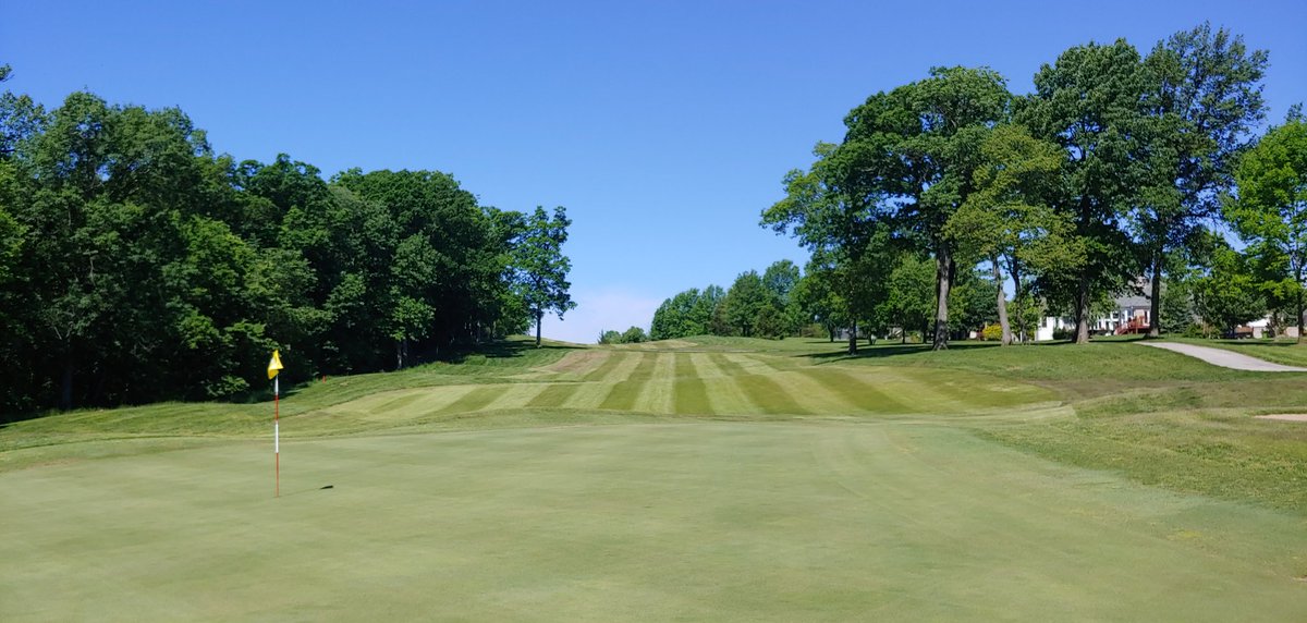 WhitmoorCCGrounds tweet media