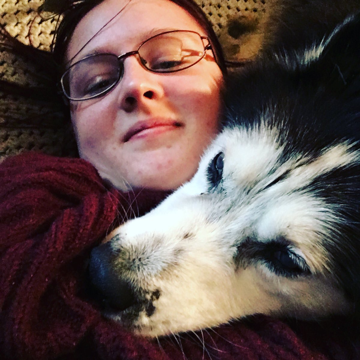 Shellby_Grove's tweet photo. I am/was a husky owner my good boy Kodah was the light of my life I got him a few years before GoT and i agree that no you shouldnt get a husky just for the look they need special attention and work but i would give anything to have my direwolf back https://t.co/ifixZ1S6Mq